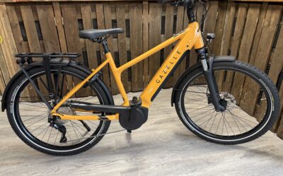 Gazelle Medeo T10