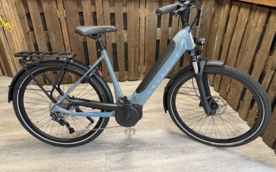 Gazelle Ultimate T10