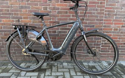 Gazelle Arroyo C5+ Herren